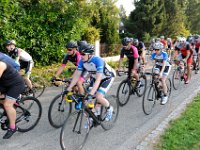 Jolidon Classique 016 : Jolidon Classique